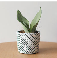 Round Chrome Plated Cement Minimalist Line Pattern Design Flower Pot With Holes White