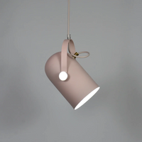 Post Modern Color Metal Spotlight Home Lighting and Decor Blush