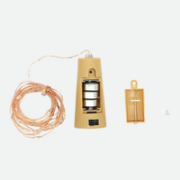 Patio Fairy Battery LED lights with Copper String-Letifly Lights and Decor