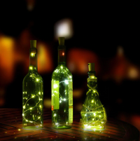 Patio Fairy Battery LED lights with Copper String-Letifly Lights and Decor