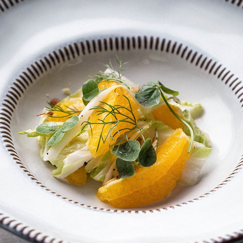 Nordic Ceramic Pasta Dinnerware 