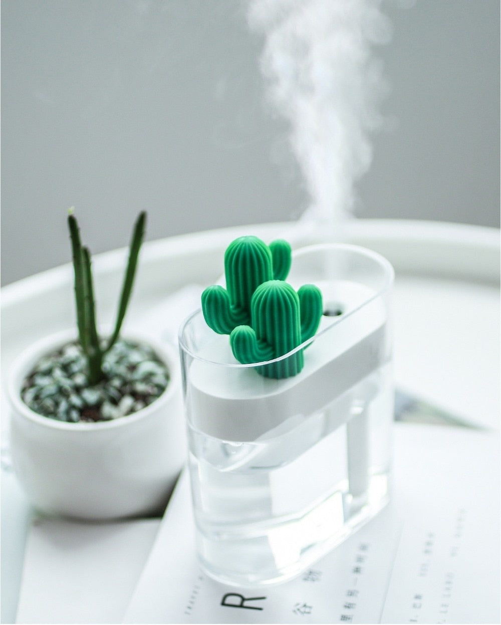 Clear Ultrasonic Cactus Essential Oil Aroma Diffuser